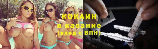 твердый Алексин